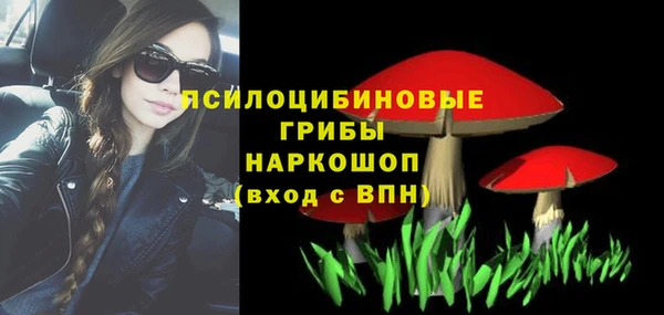 марки nbome Пересвет