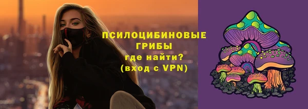 spice Переславль-Залесский