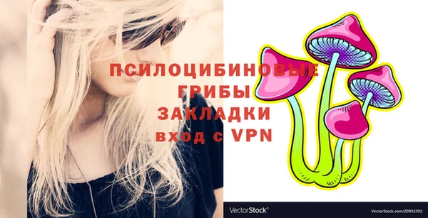 марки nbome Пересвет