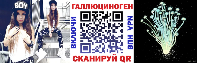 Псилоцибиновые грибы прущие грибы Купить закладки Шатура